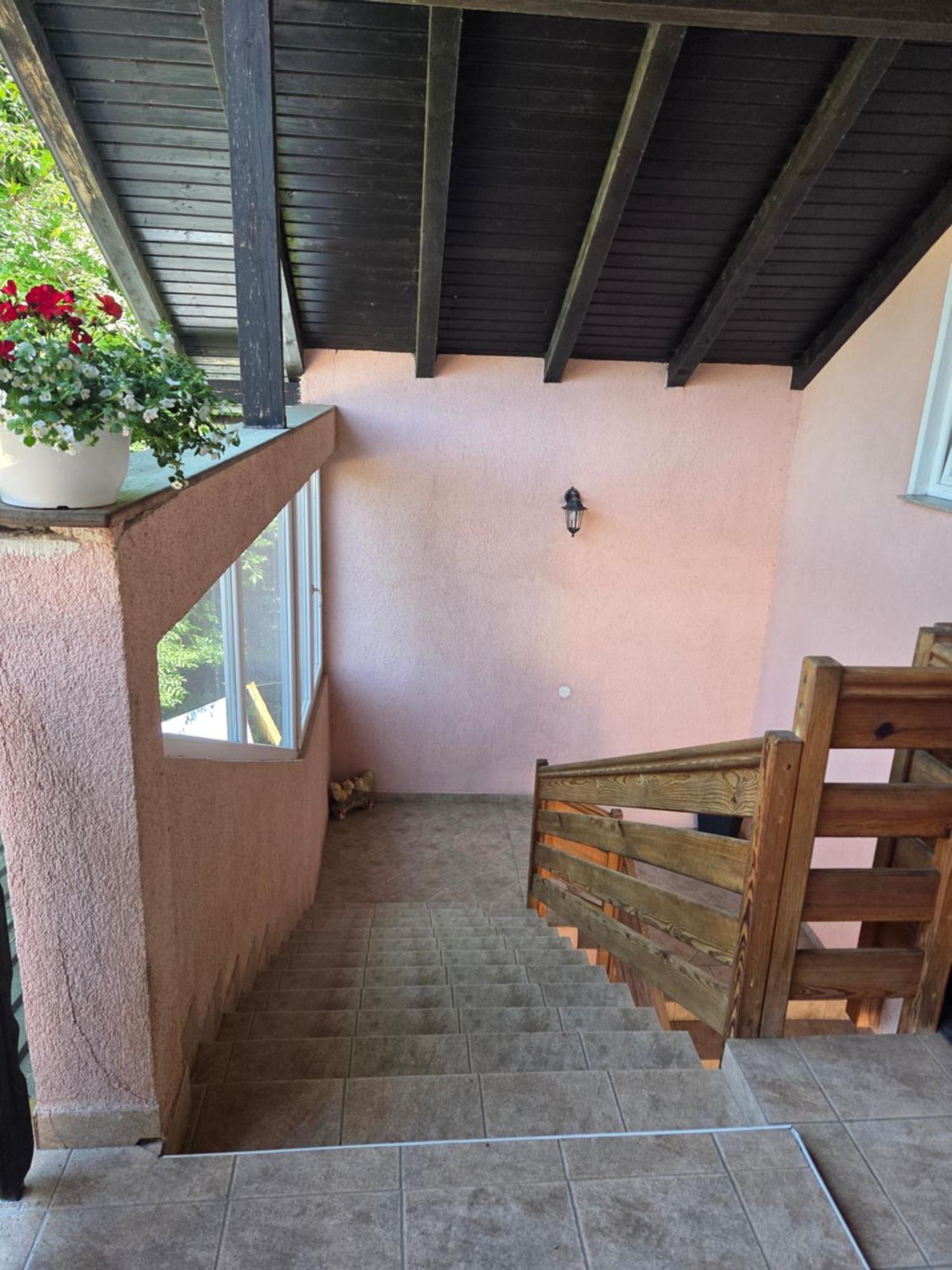 Apartman & Sobe Orhideja Smoljanac Buitenkant foto